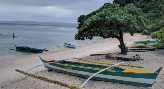 Tambaron Green Beach Resort