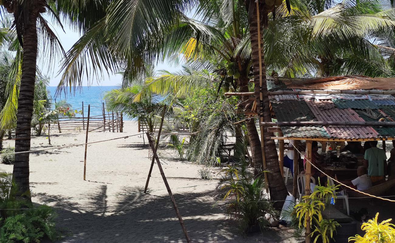 Mamburao Beach'in fotoğrafı gri kum yüzey ile