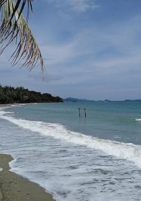 Linaon