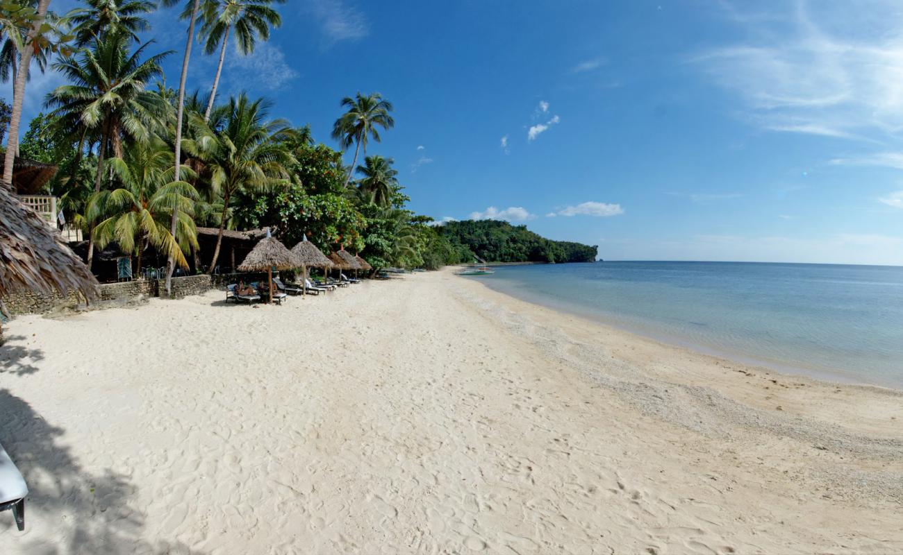 Punta Ballo Beach'in fotoğrafı açık bej kum yüzey ile