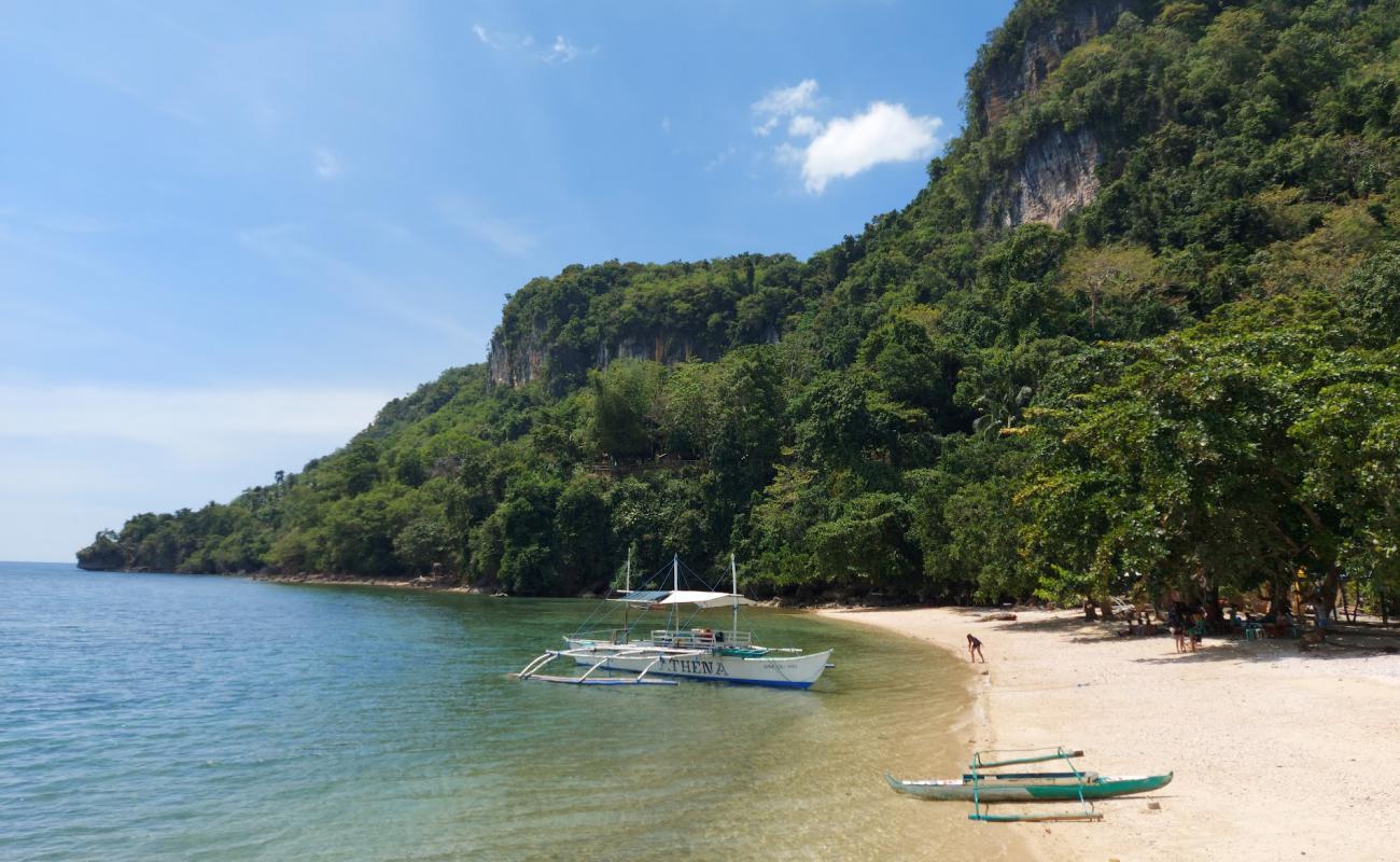 Campomanes Bay Beach'in fotoğrafı bej kum ve çakıl yüzey ile