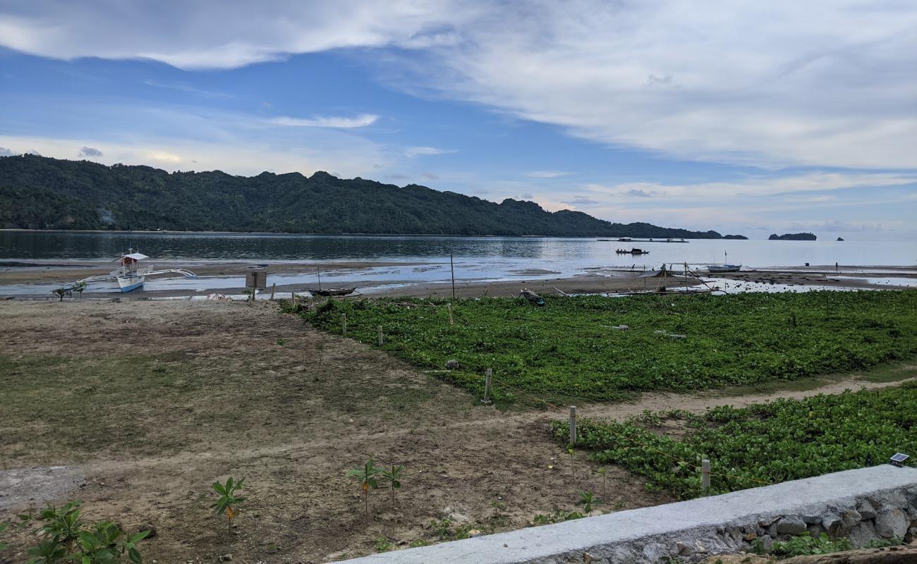 Maricalum Beach'in fotoğrafı parlak kum yüzey ile