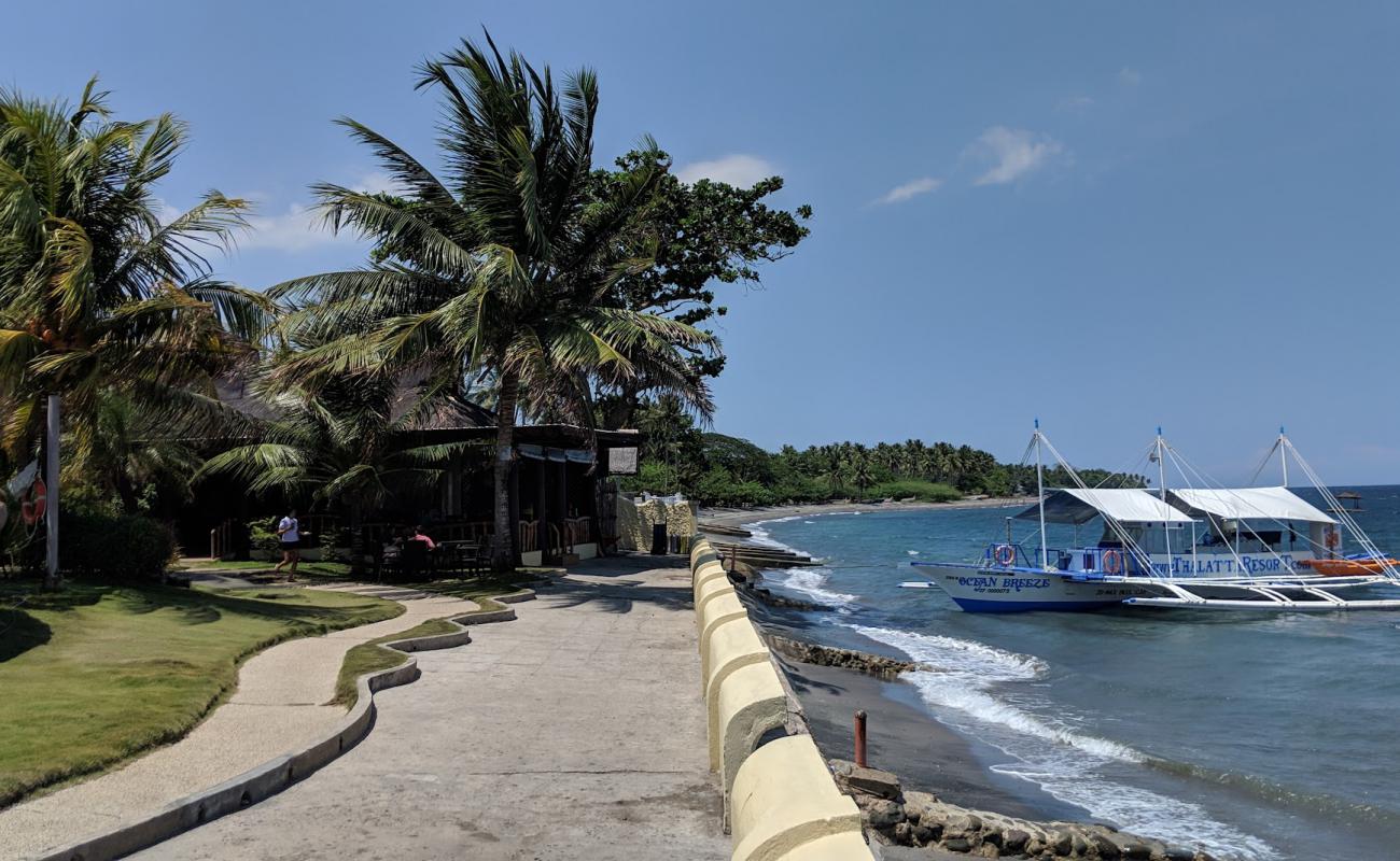 Zamboanguita Beach'in fotoğrafı gri kum yüzey ile