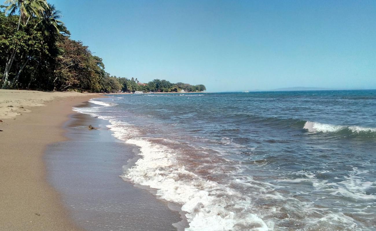 Uzi's Beach'in fotoğrafı açık bej kum yüzey ile