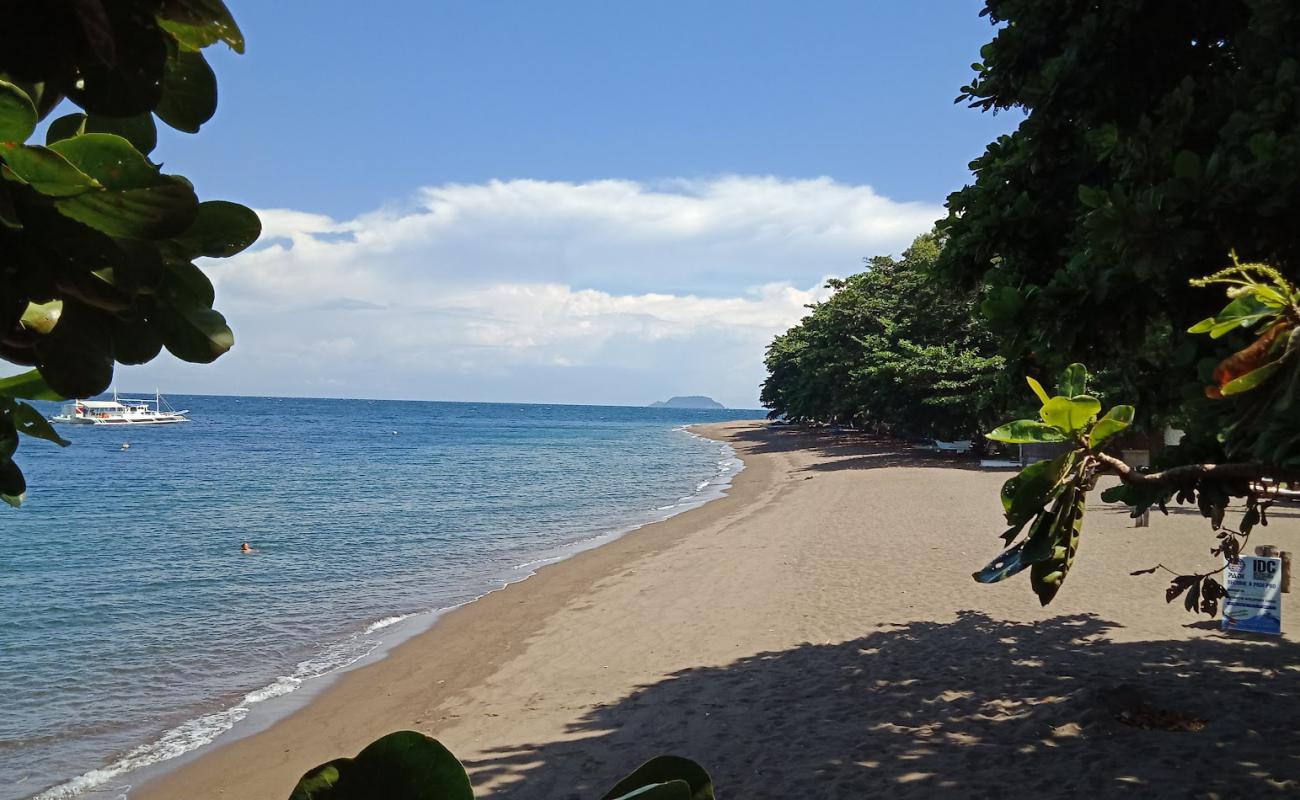 Poblacion Beach'in fotoğrafı açık bej kum yüzey ile
