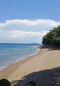 Negros Adası