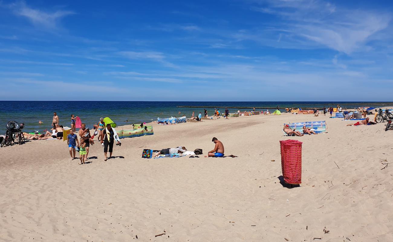 Amber Harbor beach'in fotoğrafı açık bej kum yüzey ile