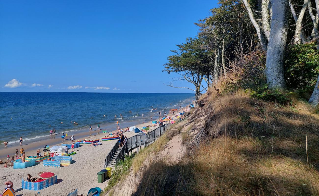 Debina Beach'in fotoğrafı açık bej kum yüzey ile