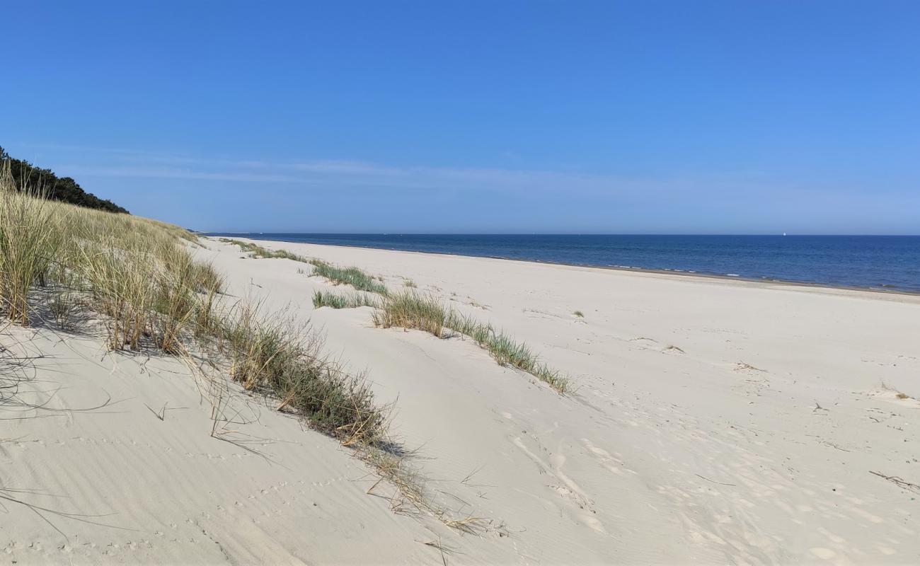 Mierzeja Sarbska beach'in fotoğrafı parlak kum yüzey ile