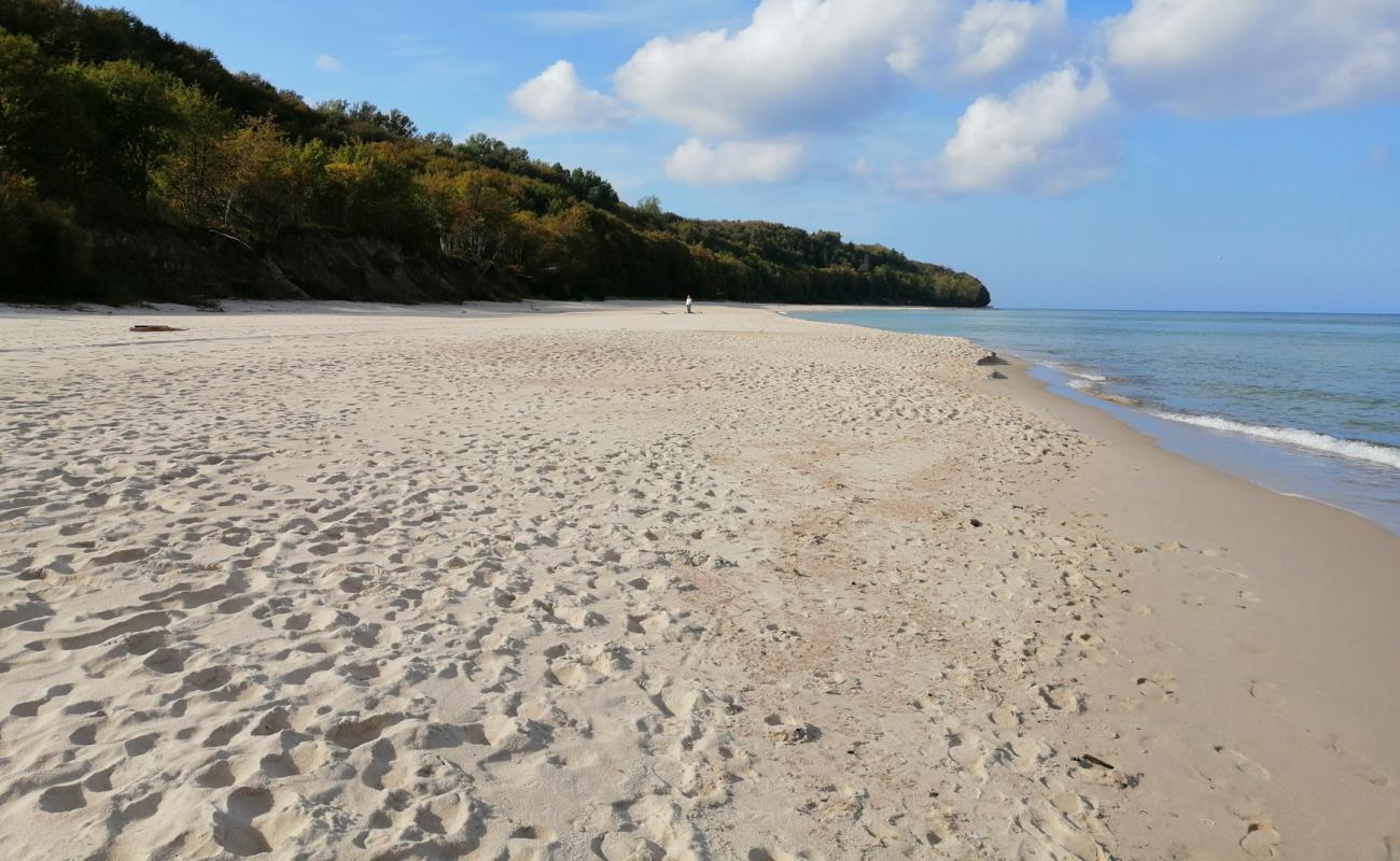 Rozewie Beach'in fotoğrafı parlak ince kum yüzey ile