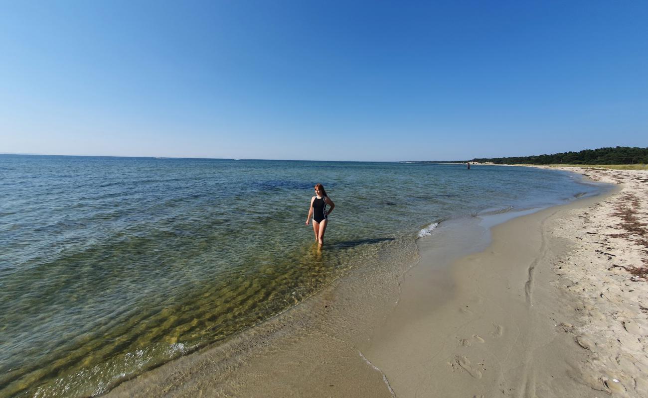 Navy Base beach'in fotoğrafı i̇nce bej kum yüzey ile