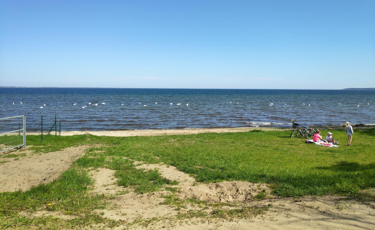 Dzika Beach'in fotoğrafı gri kum yüzey ile