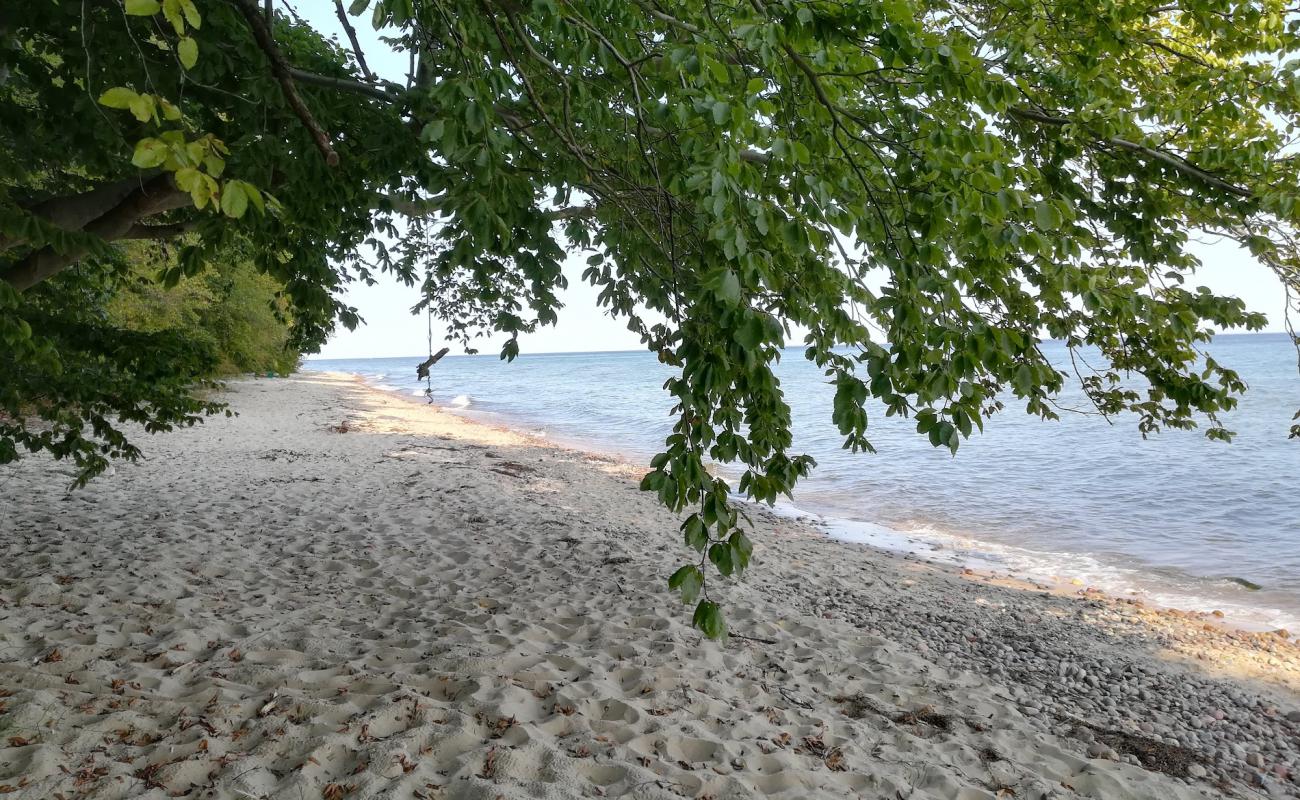Gdynia Beach'in fotoğrafı bej kum ve çakıl yüzey ile