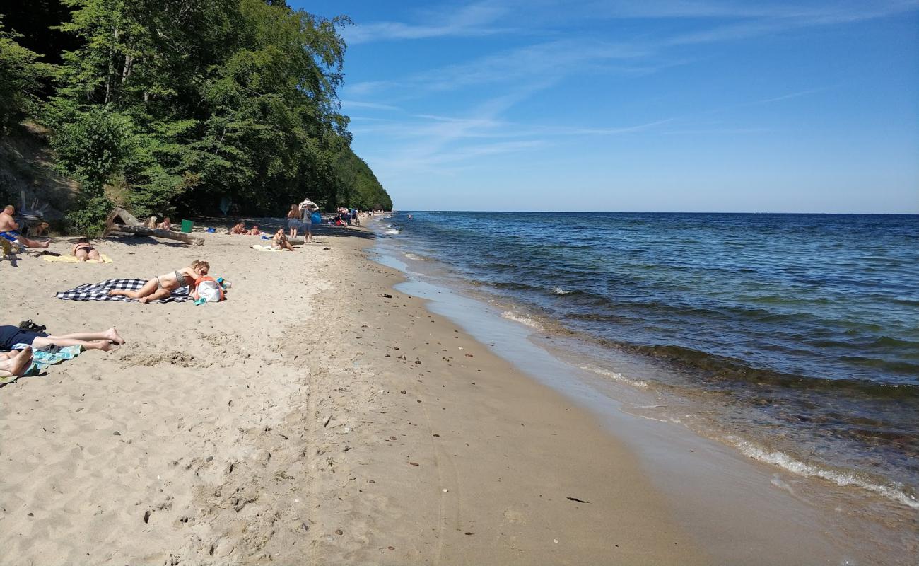 Oksywie beach'in fotoğrafı parlak kum yüzey ile