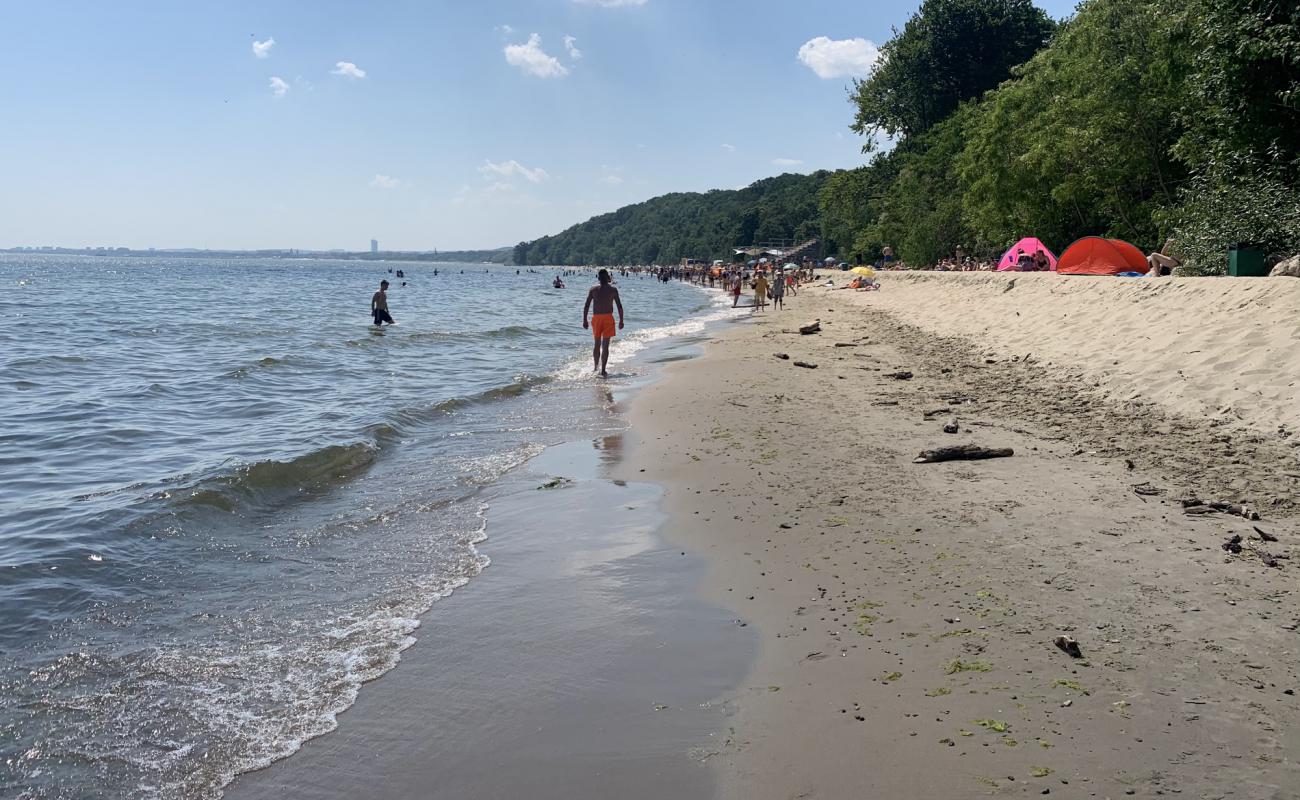 Kolibki Beach'in fotoğrafı parlak ince kum yüzey ile