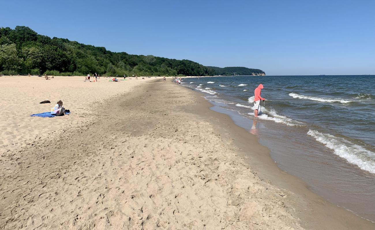 Sopot Kamienny Potok'in fotoğrafı parlak ince kum yüzey ile