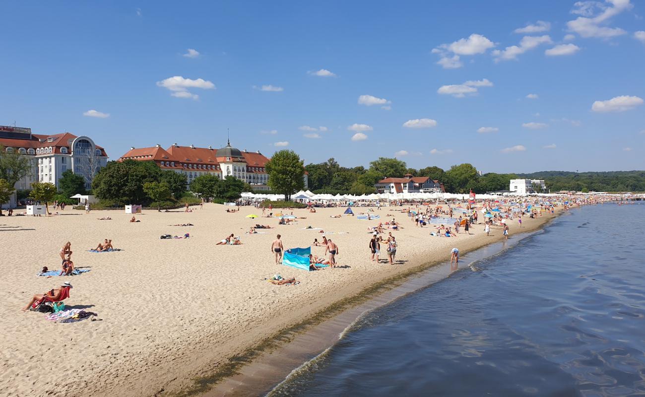 Plaza Sopot'in fotoğrafı parlak ince kum yüzey ile