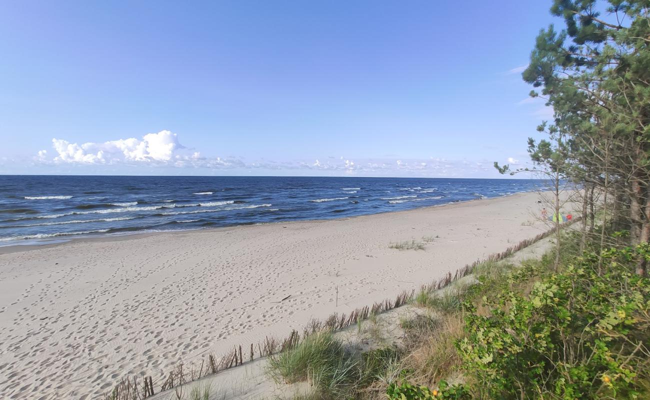 Sztutowo beach entr 55'in fotoğrafı açık bej kum yüzey ile