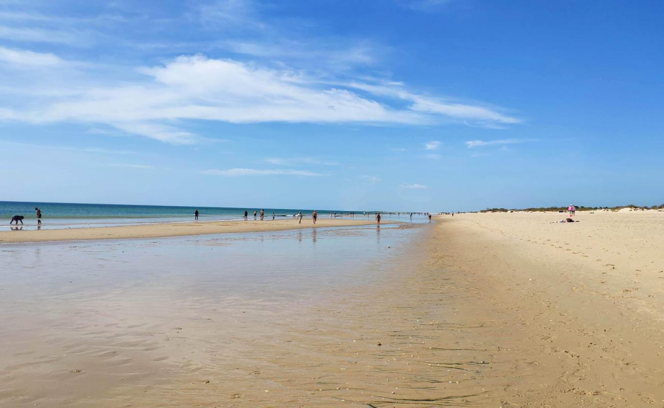 Manta Rota Plajı'in fotoğrafı parlak ince kum yüzey ile