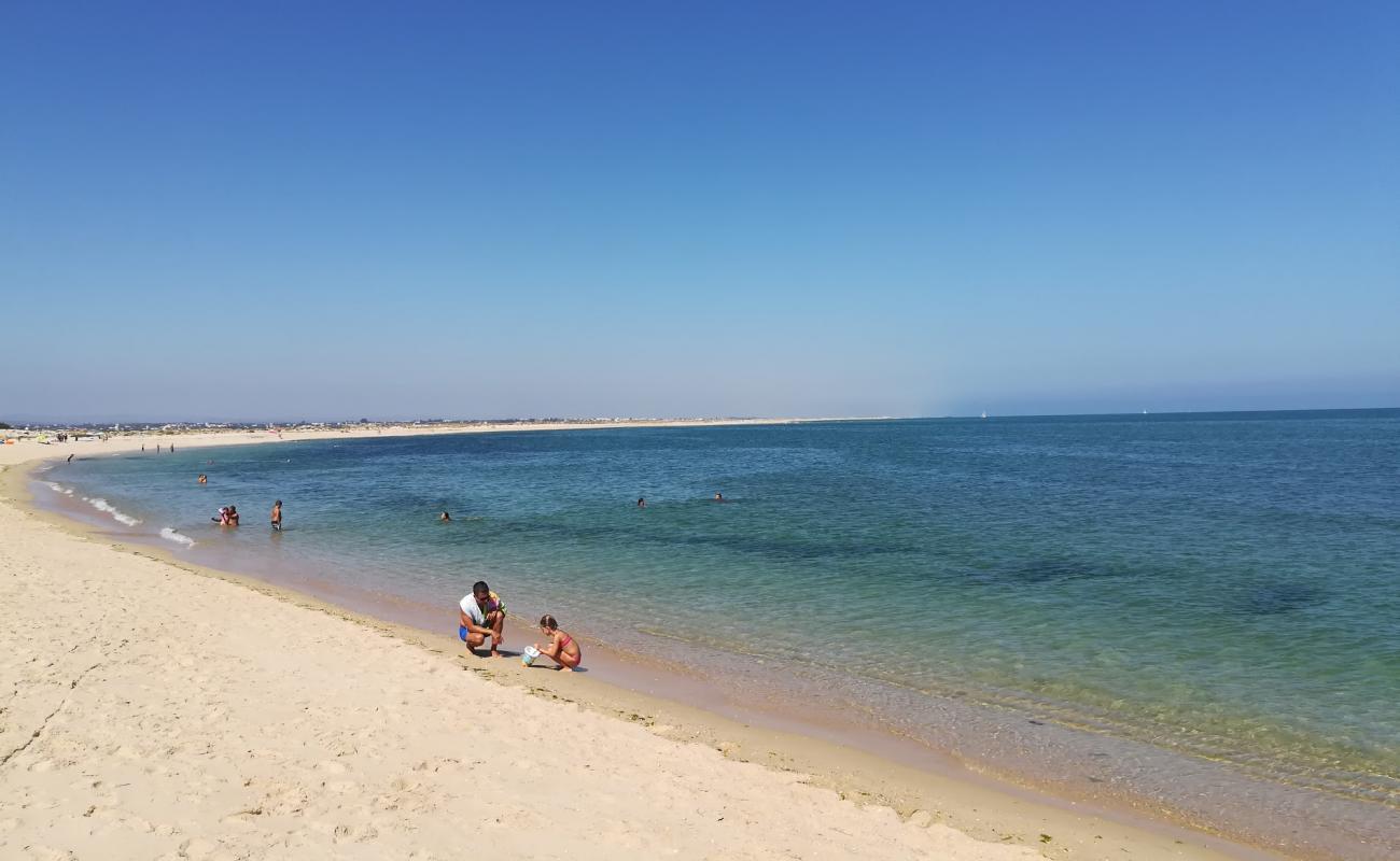 Ilha da Armona Mar'in fotoğrafı parlak ince kum yüzey ile