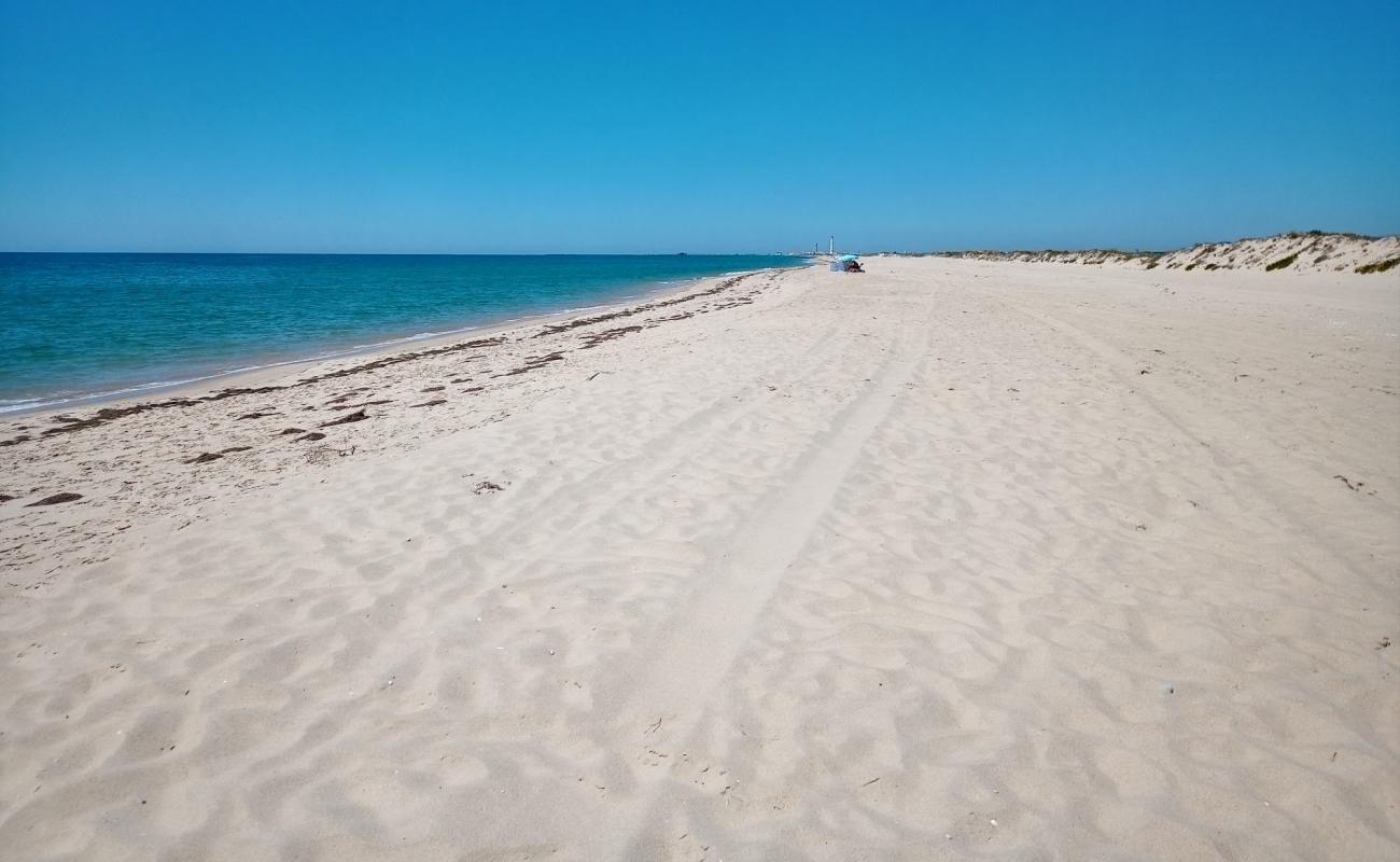 Ilha da Culatra'in fotoğrafı parlak ince kum yüzey ile