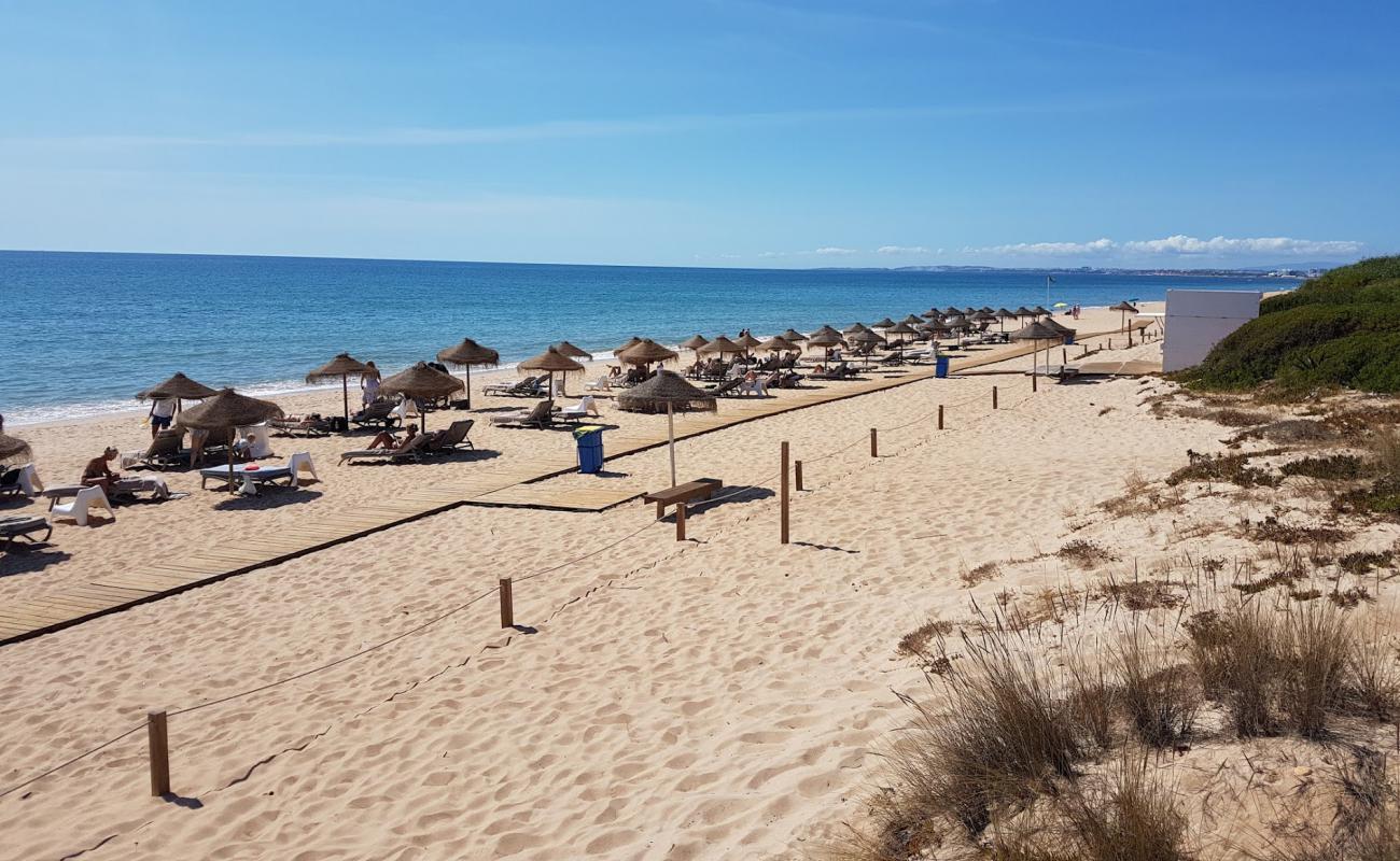 Quinta do Lago Plajı'in fotoğrafı i̇nce kahverengi kum yüzey ile