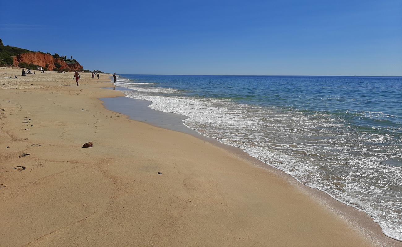 Vale do Lobo'in fotoğrafı i̇nce kahverengi kum yüzey ile