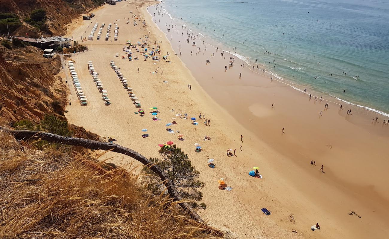 Barranco das Belharucas'in fotoğrafı i̇nce kahverengi kum yüzey ile