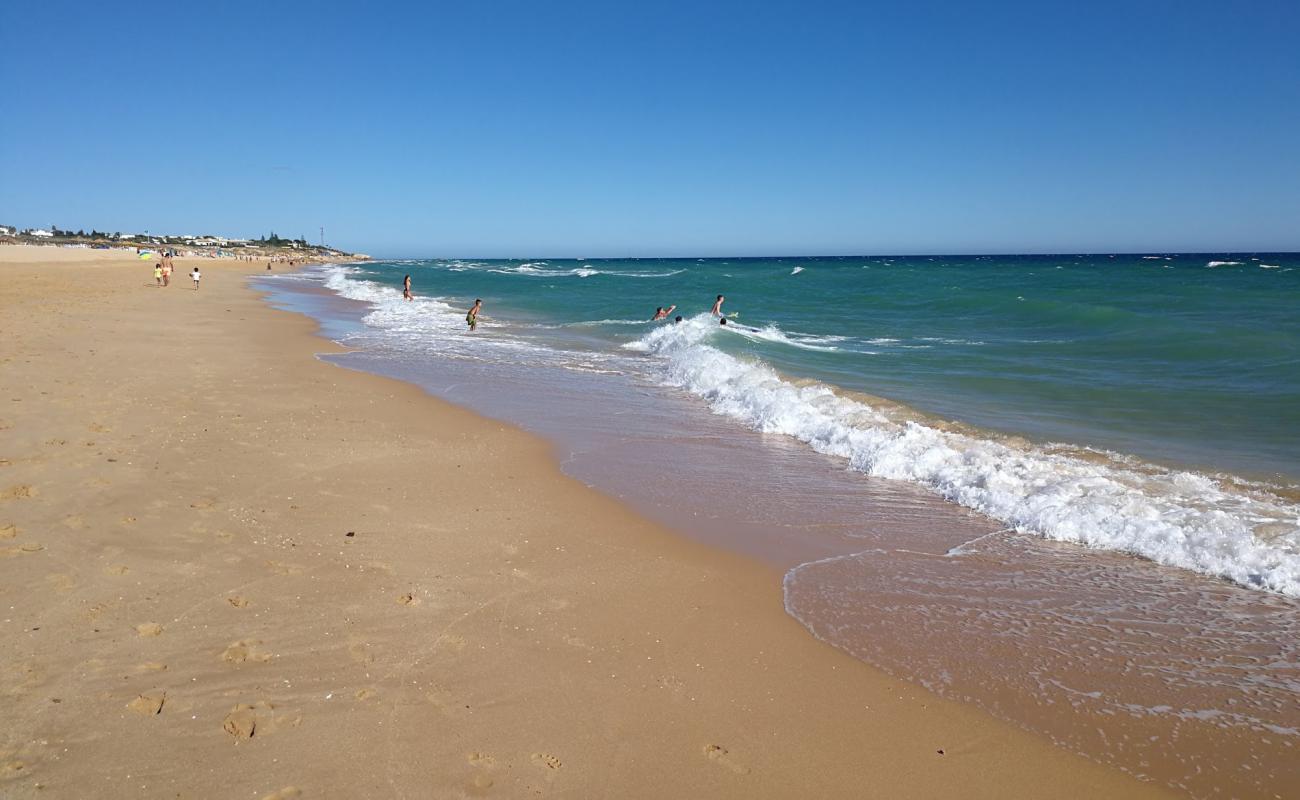 Praia dos Salgados'in fotoğrafı i̇nce kahverengi kum yüzey ile