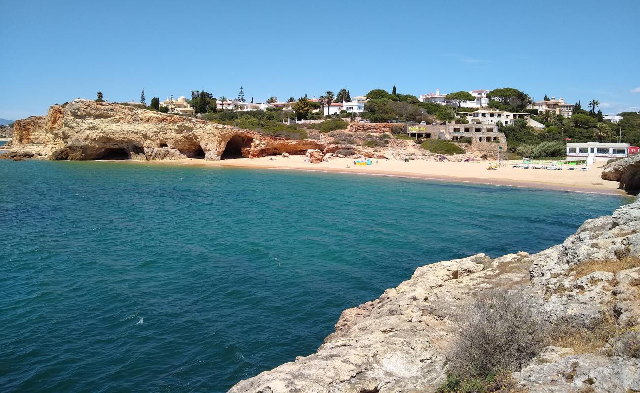 Praia do Pintadinho'in fotoğrafı i̇nce kahverengi kum yüzey ile