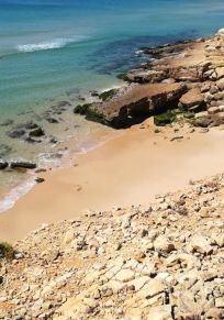 Salema