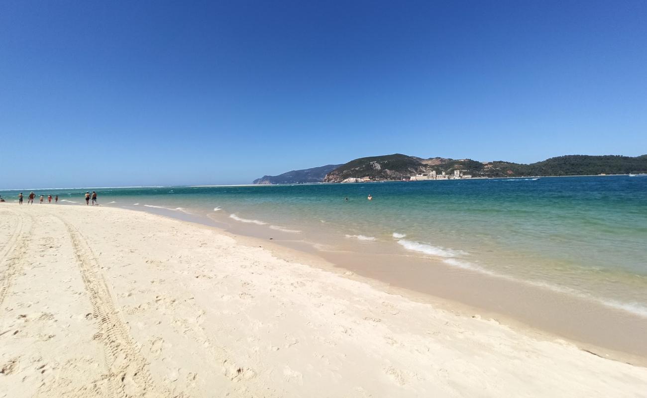 Beach Troia Mar'in fotoğrafı beyaz ince kum yüzey ile