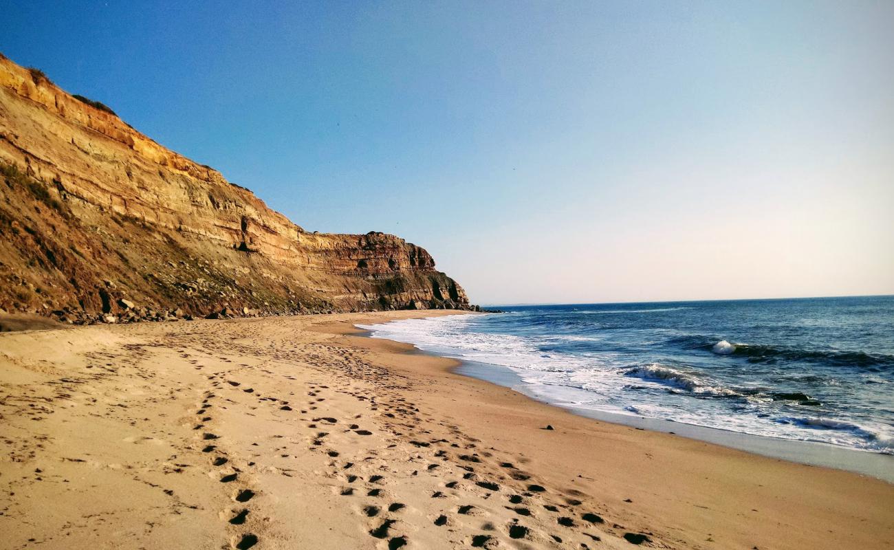 Praia do Canical'in fotoğrafı i̇nce bej kum yüzey ile