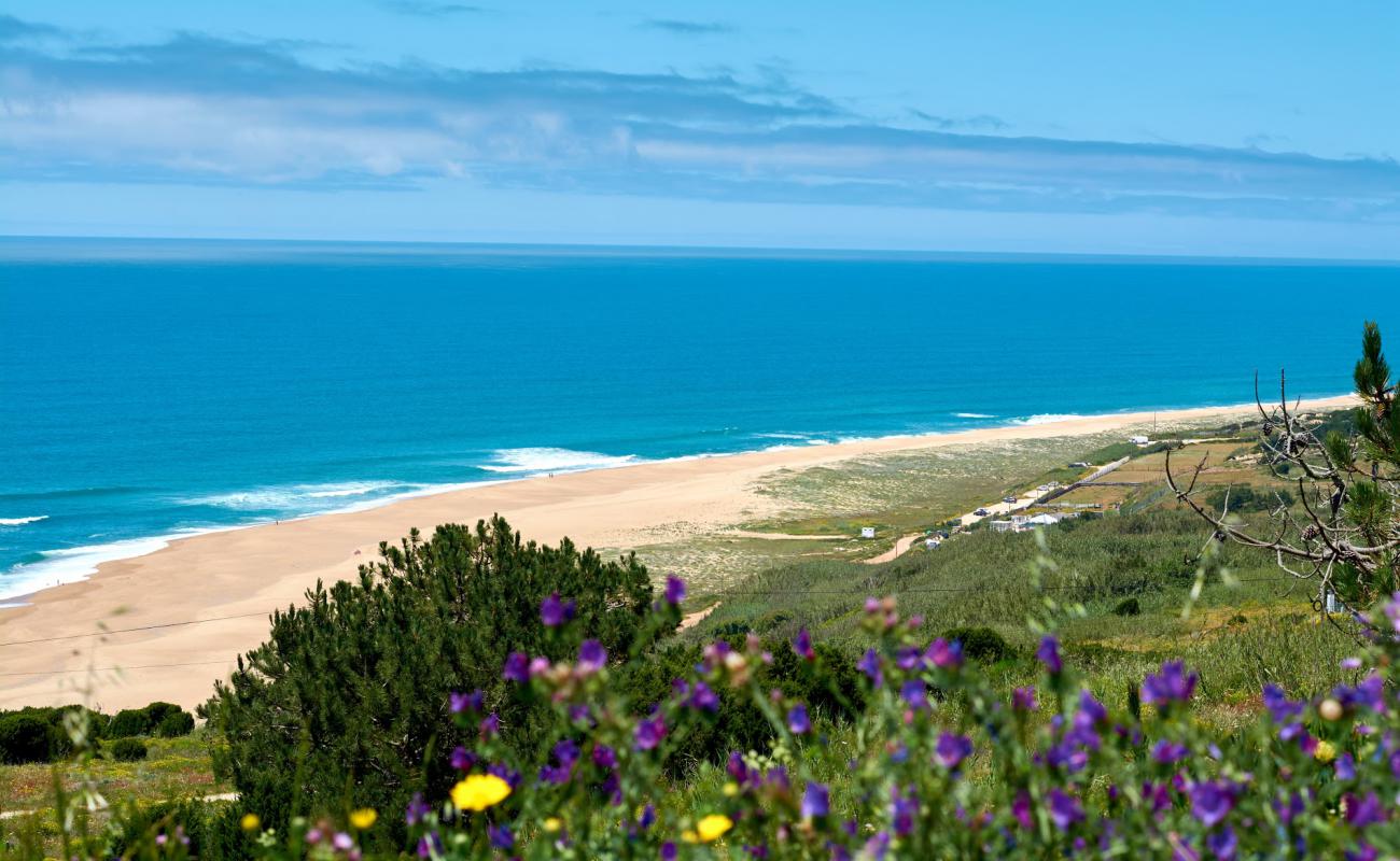 North Beach'in fotoğrafı parlak ince kum yüzey ile