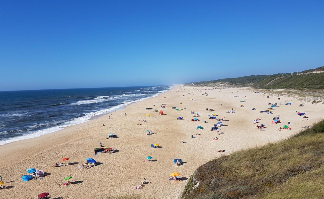 Praia Velha'in fotoğrafı parlak ince kum yüzey ile