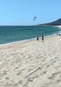 Moledo