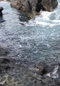Pico Adası