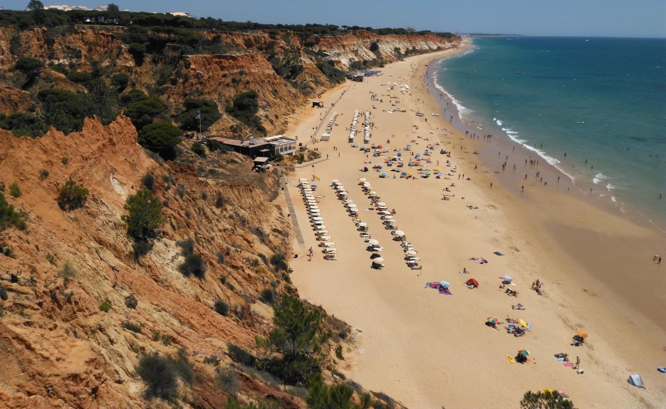 Praia da falesia'in fotoğrafı parlak ince kum yüzey ile