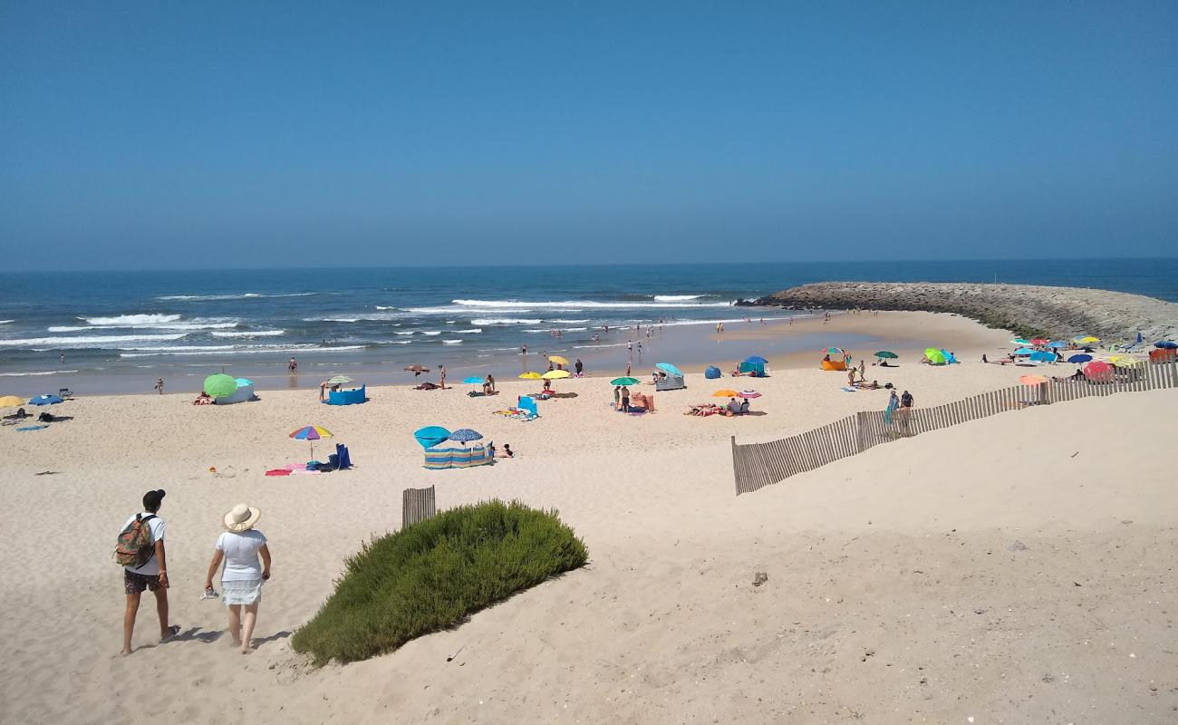 Praia do Poco da Cruz'in fotoğrafı açık bej kum yüzey ile