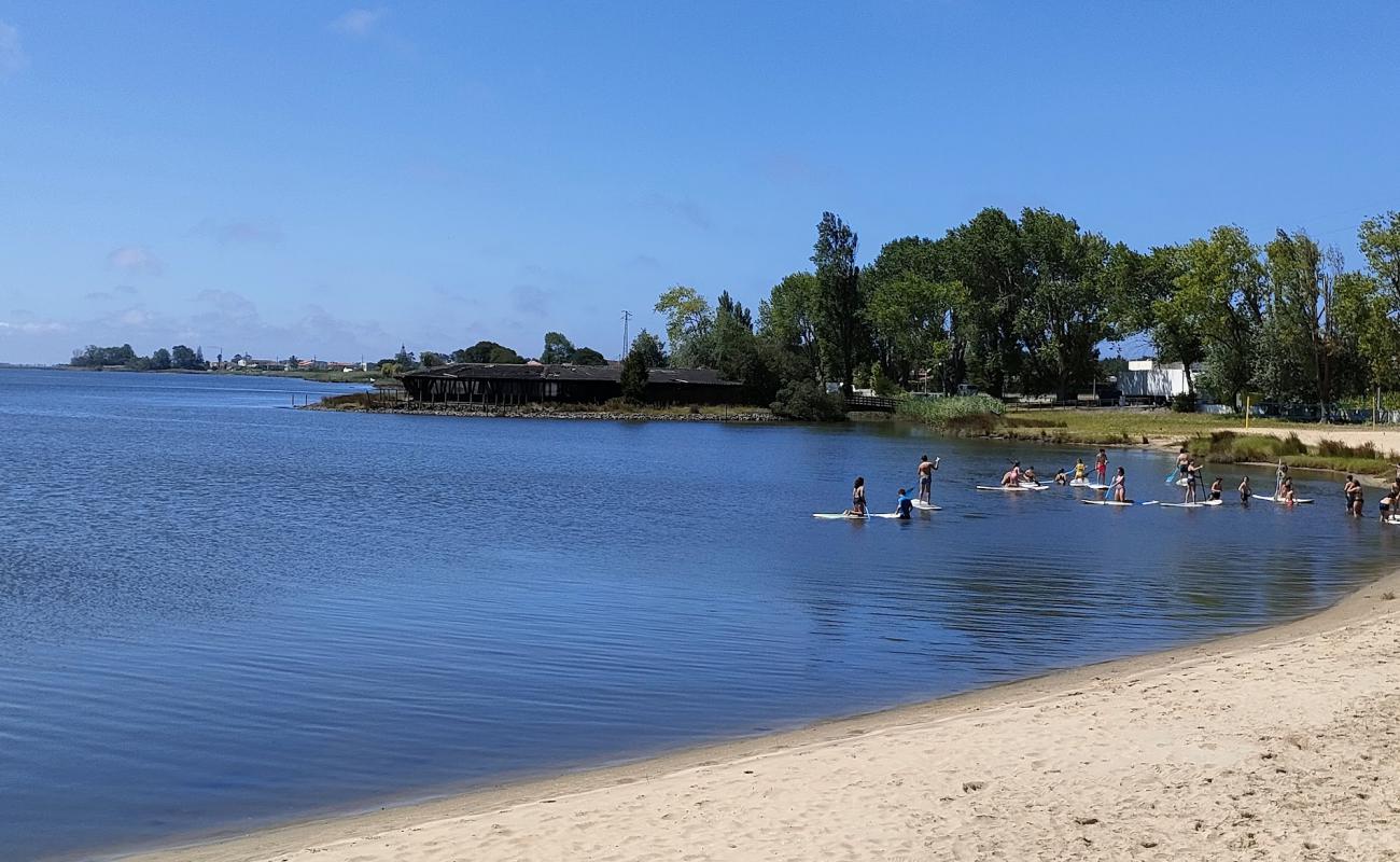 Praia do Areinho'in fotoğrafı parlak kum yüzey ile