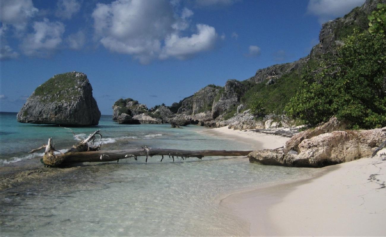 Pajaros beach'in fotoğrafı parlak ince kum yüzey ile