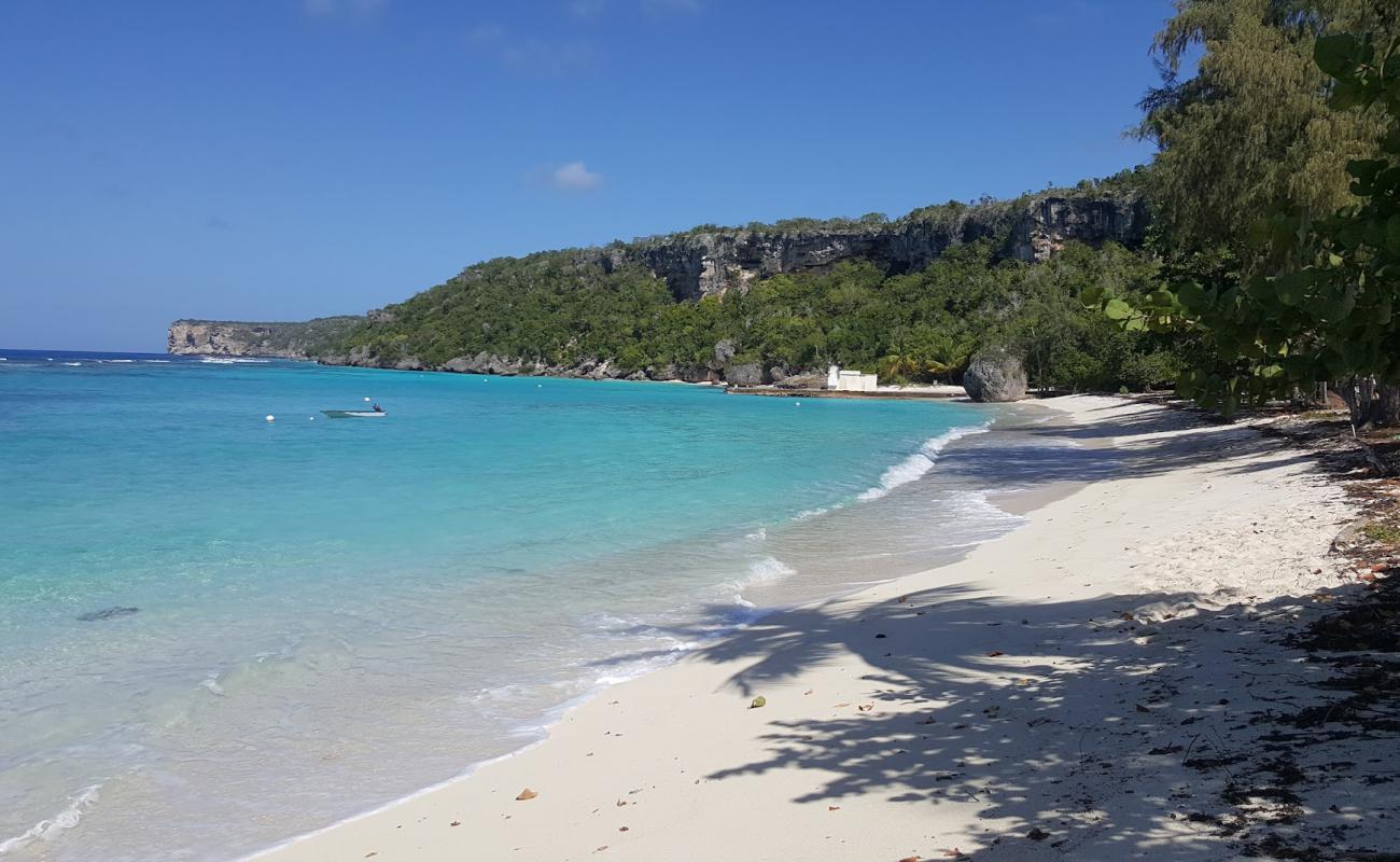 Sardine beach'in fotoğrafı i̇nce bej kum yüzey ile