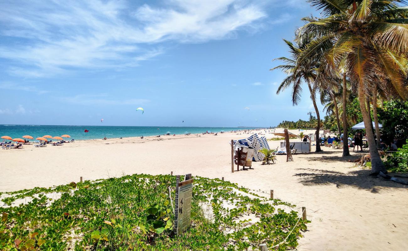 Ocean Park beach'in fotoğrafı i̇nce bej kum yüzey ile