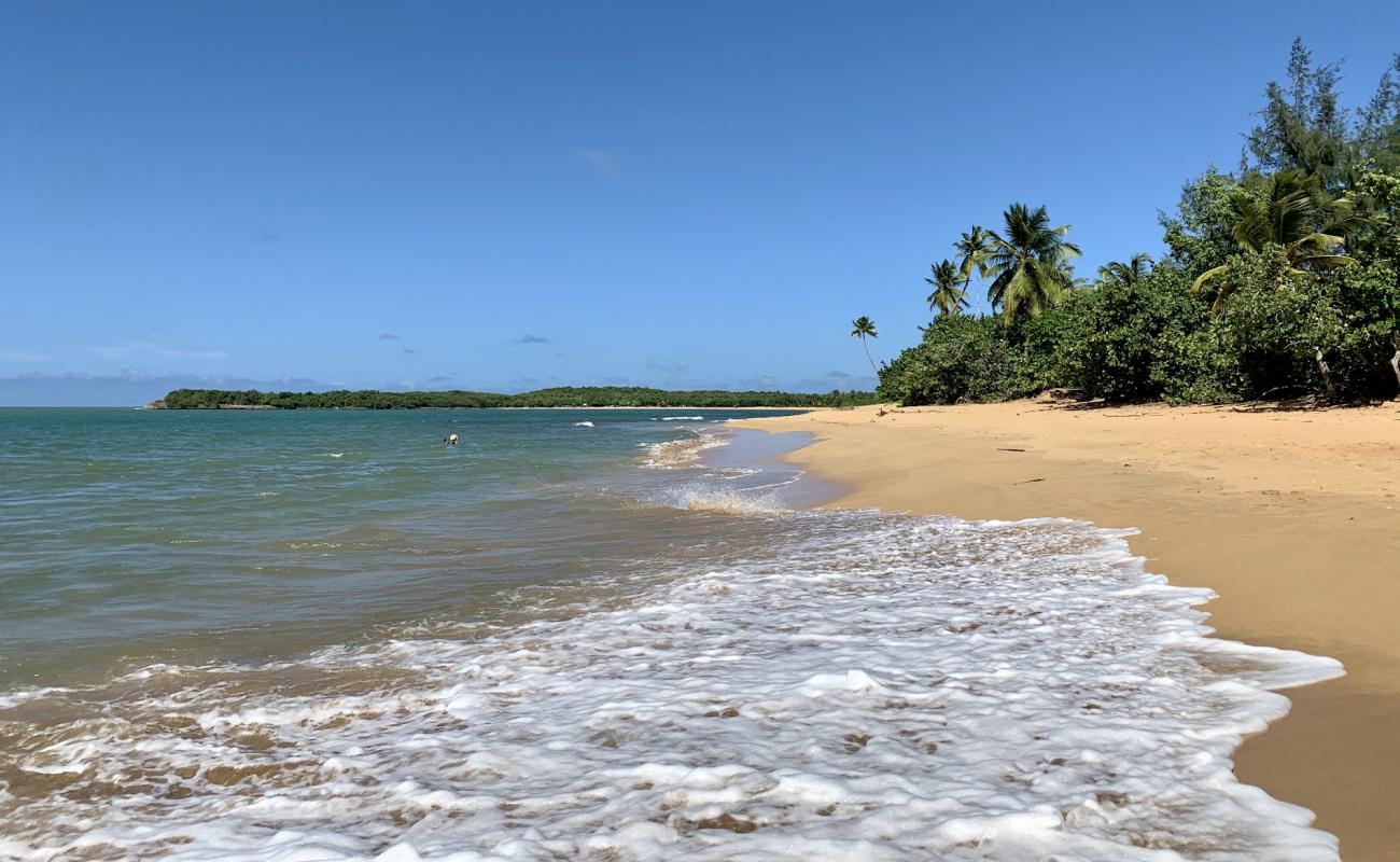 Se Pasa Bien beach'in fotoğrafı parlak ince kum yüzey ile