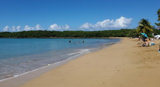 Playa Vacia Talega