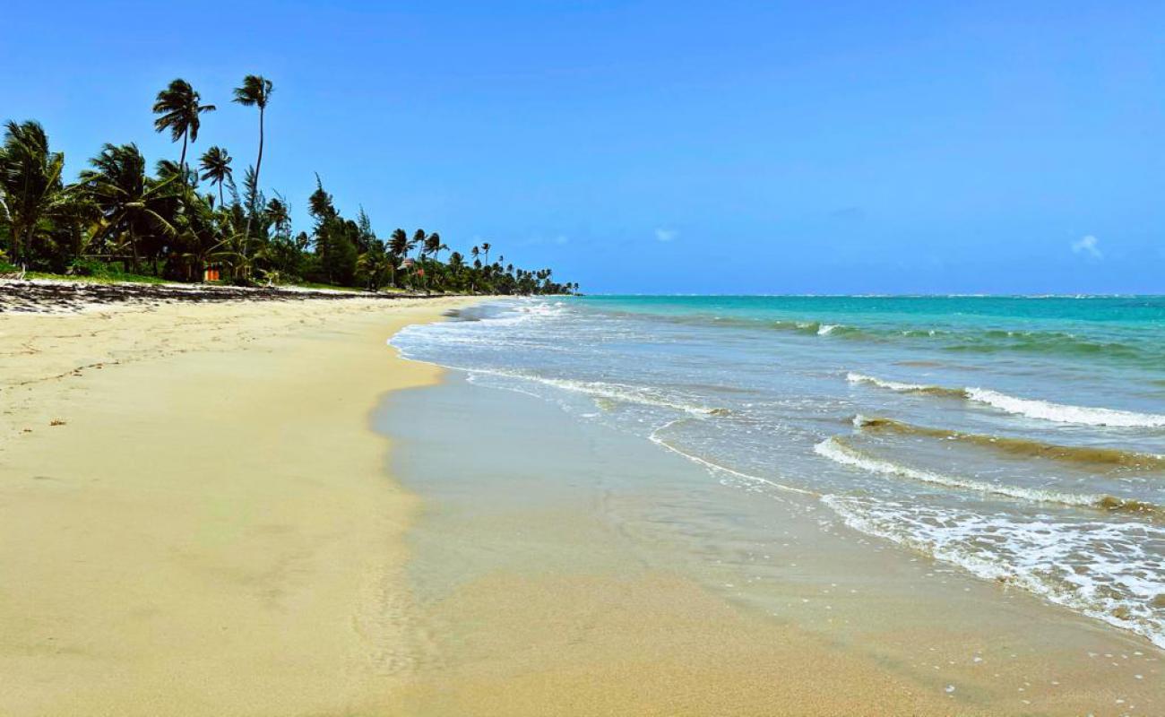 Playa Rio Grande'in fotoğrafı parlak ince kum yüzey ile