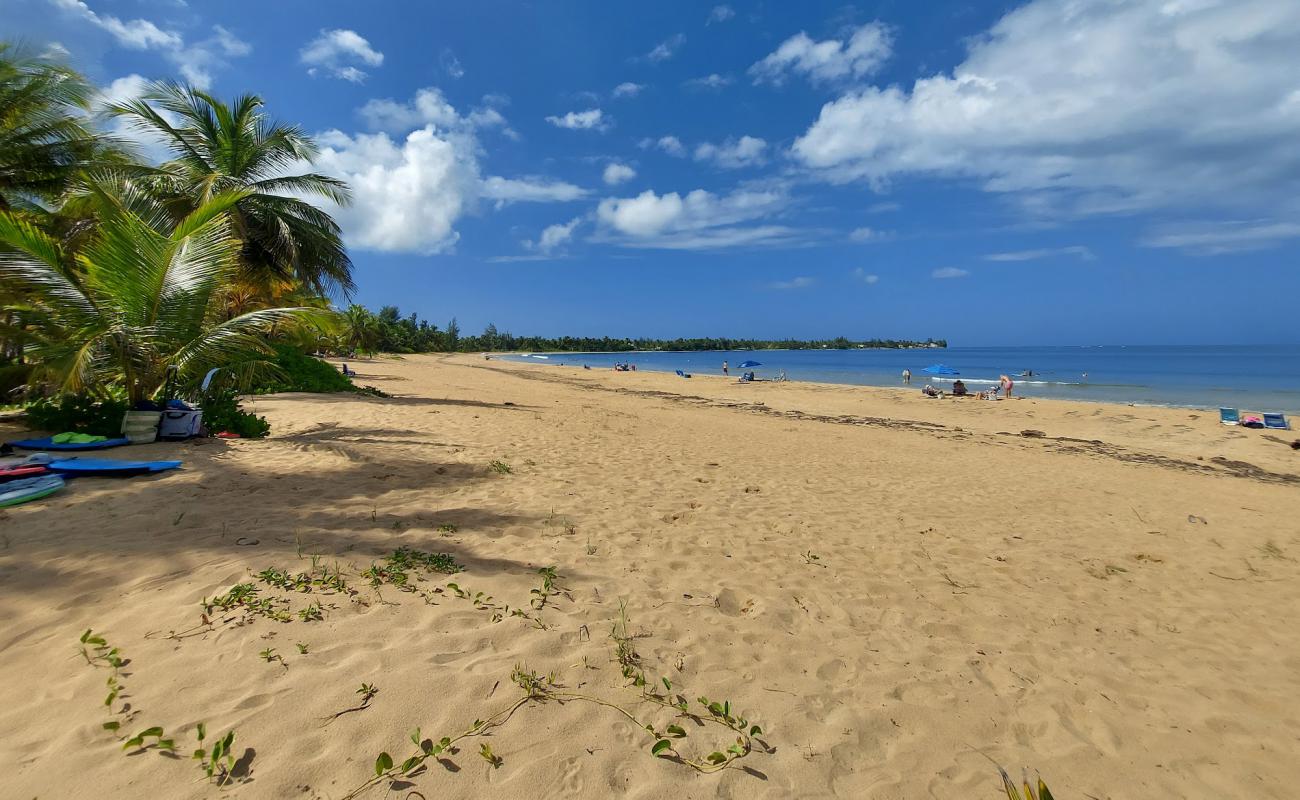 Playa las Picuas'in fotoğrafı parlak kum yüzey ile