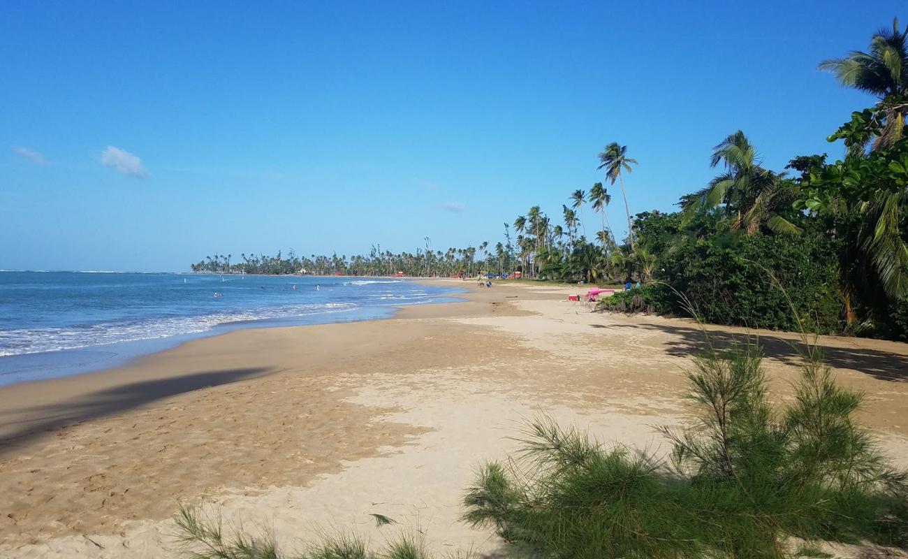 Playa Fortuna'in fotoğrafı açık bej kum yüzey ile