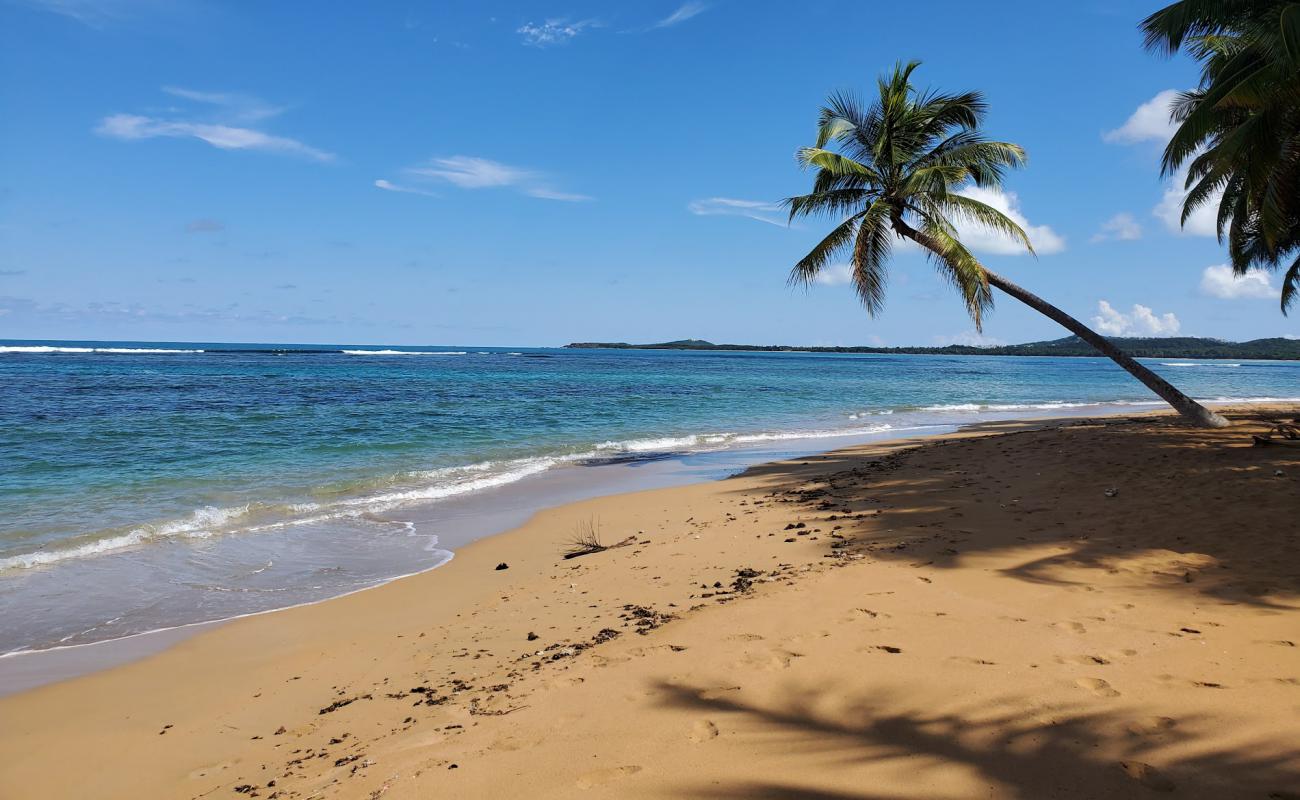 Playa Migel II'in fotoğrafı parlak ince kum yüzey ile