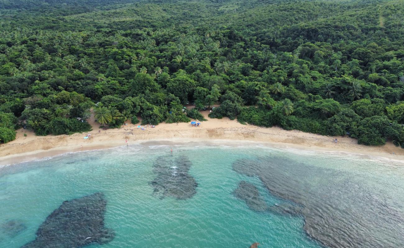 Playa La Selva'in fotoğrafı parlak ince kum yüzey ile